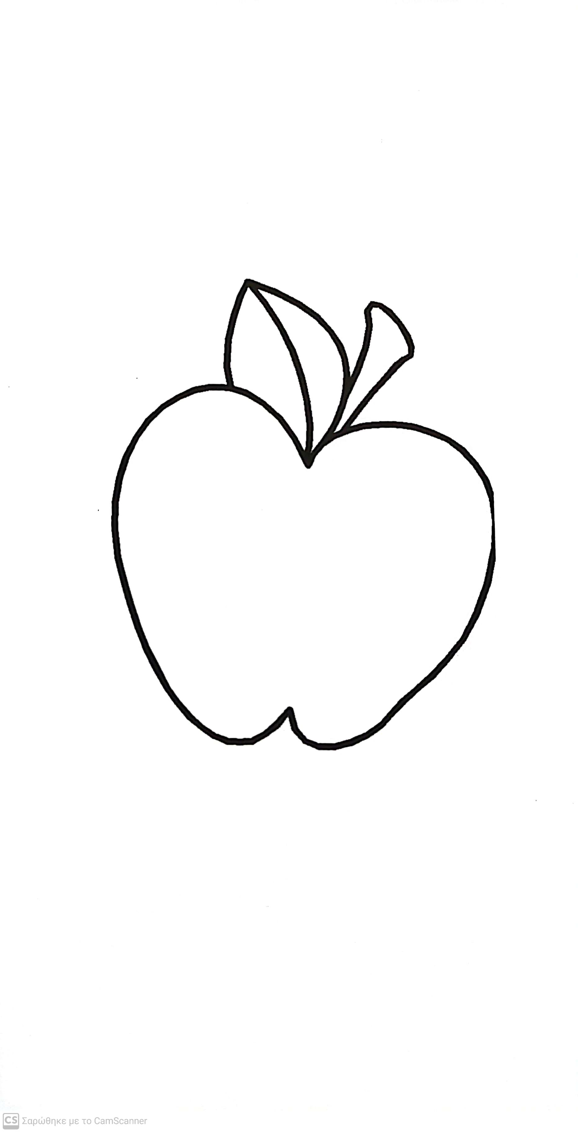 Attachment CamScanner 2025-01-21 11.37.jpg
